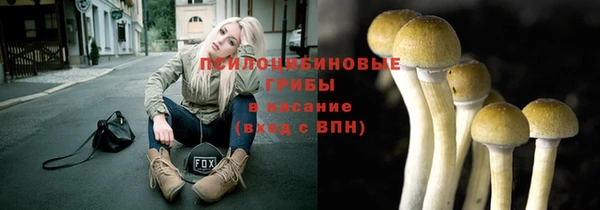 дурь Абаза