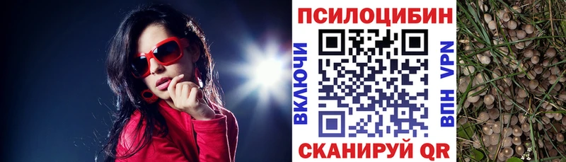 OMG ссылка  Чердынь  Галлюциногенные грибы Magic Shrooms 